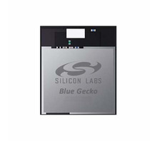 BGM13P22F512GE-V2