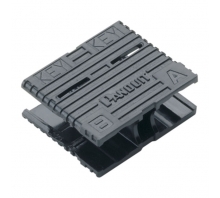 FSCCLIP-L
