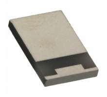 RP92010T0050GTTR