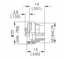 C091 31T012 100 2