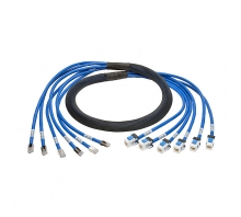 N261-015-6MF-BL
