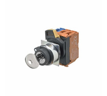 A22NK-2RM-01BA-G111