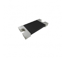 WSK1206R0110FEA