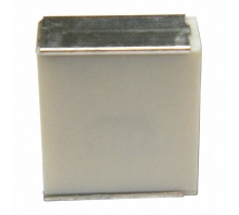F161WP105K063V