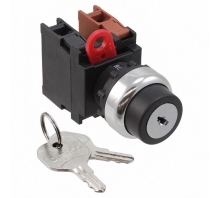 A22RK-2ML-11
