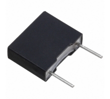 R76QD0220SE00J