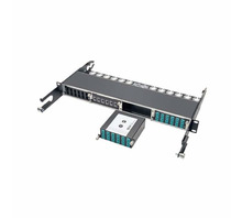 N484-1M24-LC12