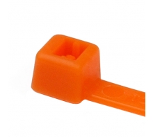 T50L3C2