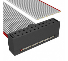 FFSD-10-S-06.00-01-N