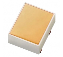 CLL130-0101B2-303M1C5