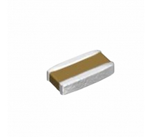CGBDT1X7T0E105M022BC