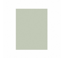 30MIC 3M668X PSA SHEET 9X11