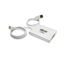 P137-06N-DVI-DL