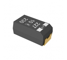 T502D106M025AG6110