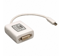 P137-06N-DVI