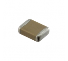 GA242QR7E2102MW01L