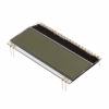 EA DOGM081W-A Image